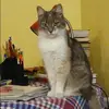 Отзыв от Лариса Фомичева